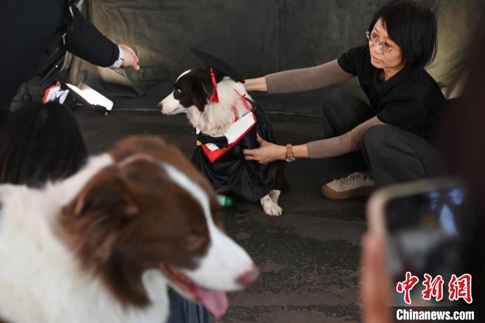 第六屆廣東省寵物文化節(jié)在廣州舉行